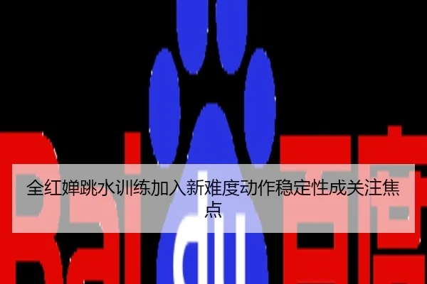 全红婵跳水训练加入新难度动作稳定性成关注焦点
